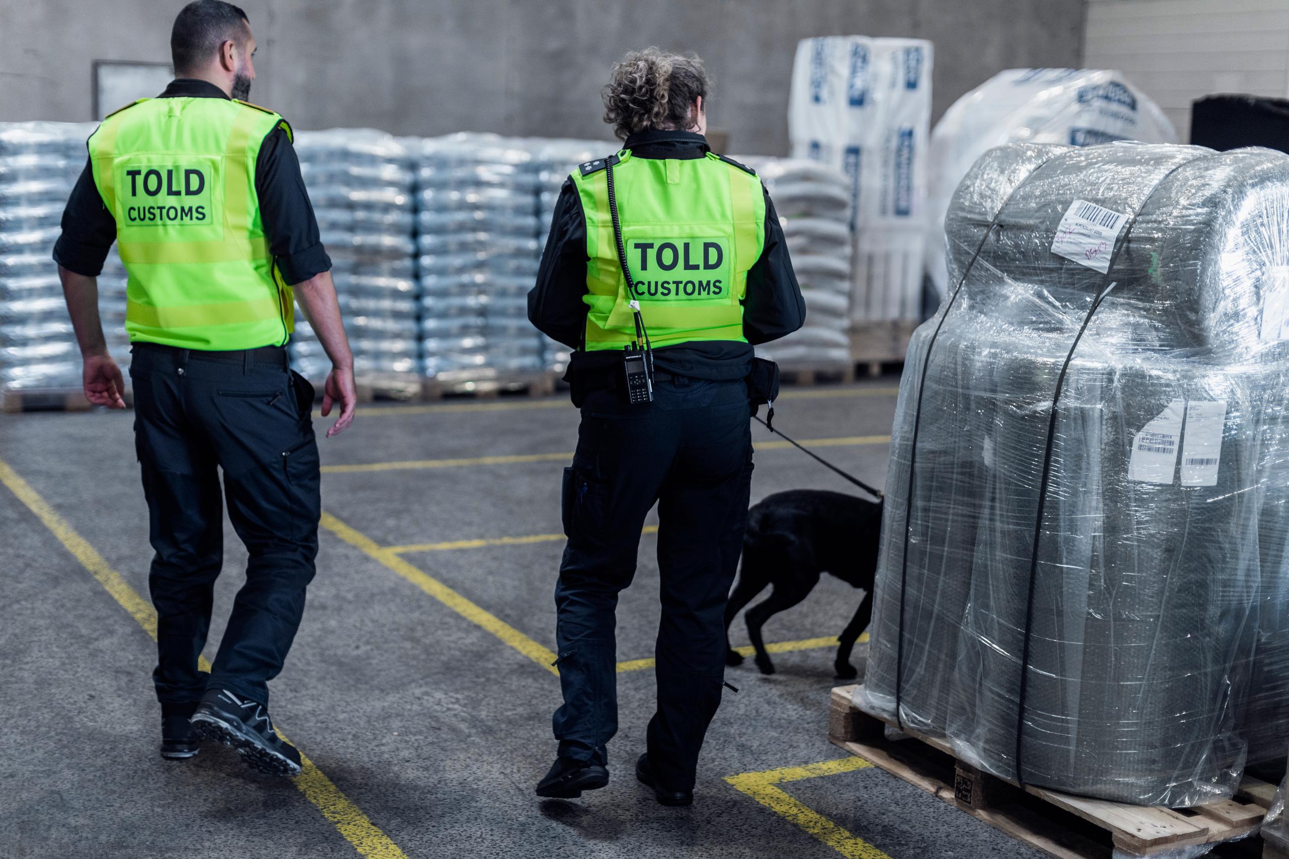 Toldkontrol med hund. To toldere, den ene med en hun i snor. De tjekker pakker på paller i en hal